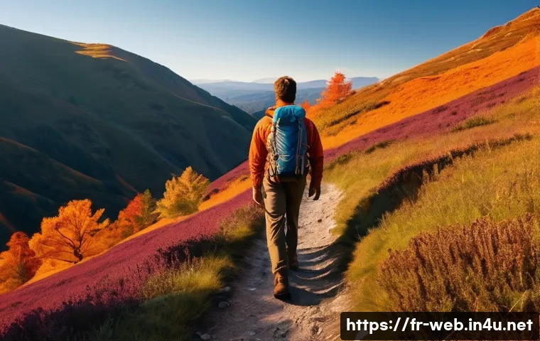 웹디자인 자기소개서 작성법 관련 이미지 2